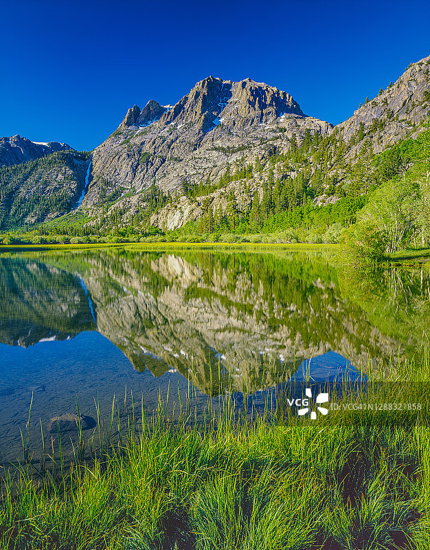 加利福尼亚州东部内华达山脉六月湖地区的英约国家森林图片素材