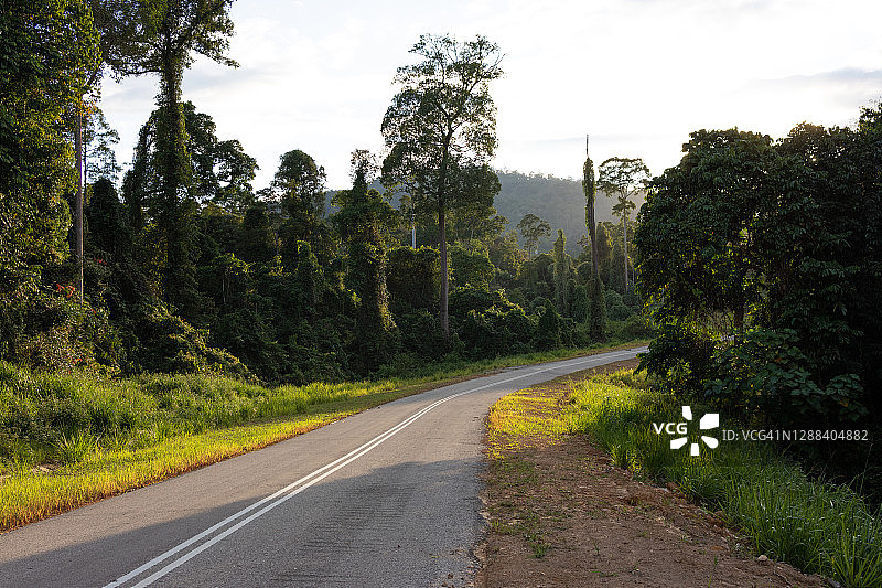 马来西亚婆罗洲马廖盆地的公路图片素材