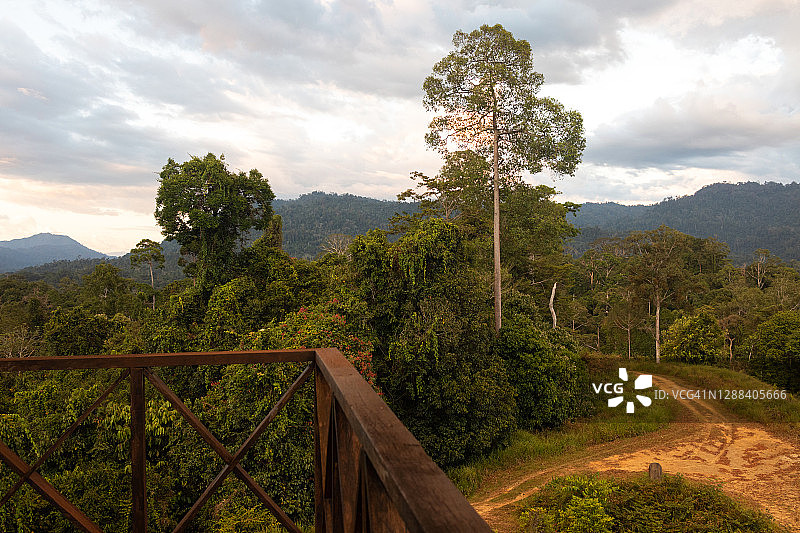 马来西亚婆罗洲Maliau盆地的森林空地日落美景图片素材