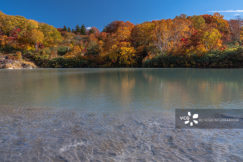 日本青森县地狱沼的秋叶图片素材