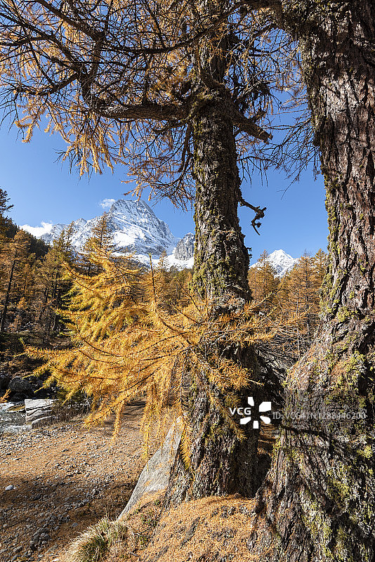 秋天的色彩，意大利图片素材