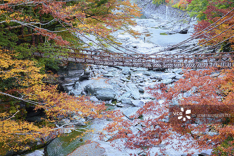 日本四国岛祖谷蔓桥图片素材