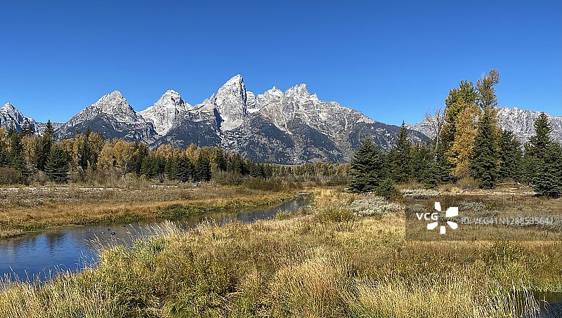 怀俄明州的秋日金色图片素材