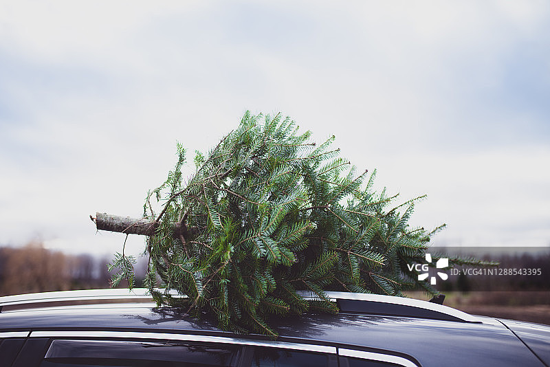 车顶上的小圣诞树图片素材