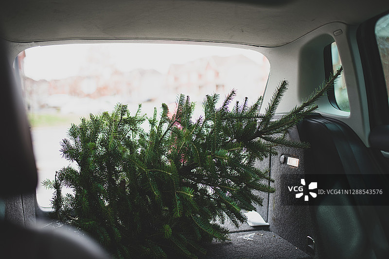 车内的小圣诞树图片素材