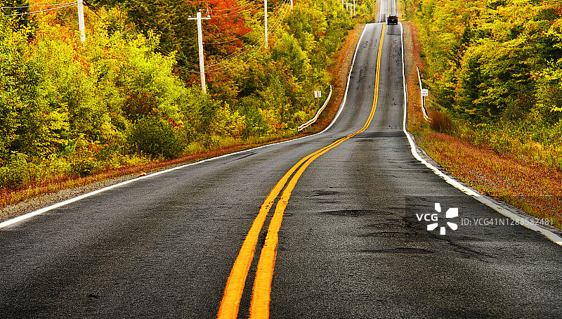 穿过秋叶的道路图片素材