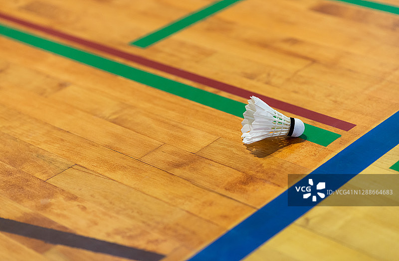 羽毛球场上的羽毛球图片素材