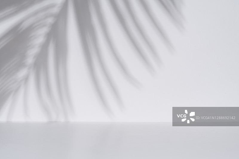 白色墙壁上的棕榈叶阴影背景图片素材