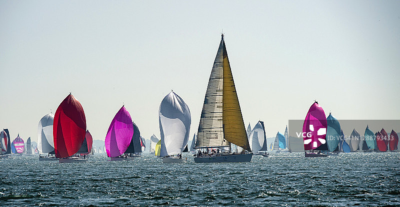 2019年怀特岛环岛游艇赛图片素材
