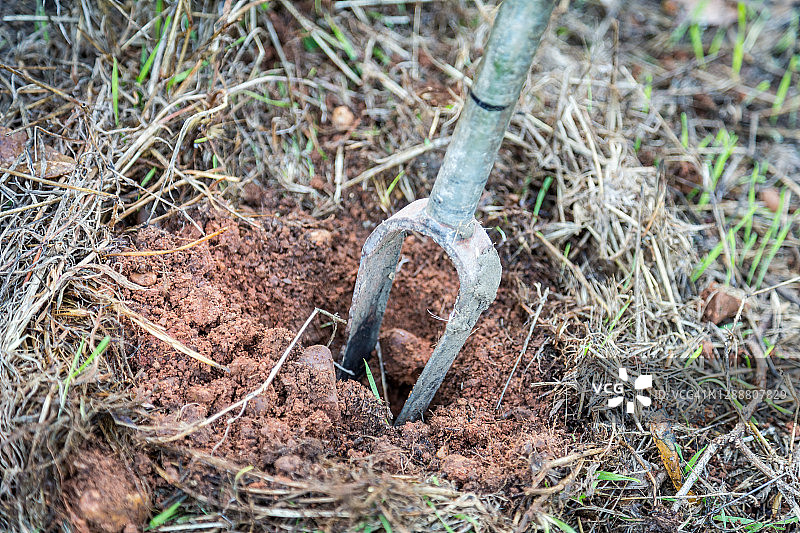 在地面挖洞分析土壤图片素材