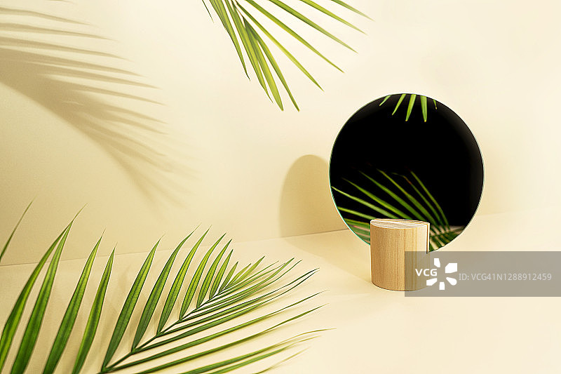 镜中棕榈叶美容概念图片素材
