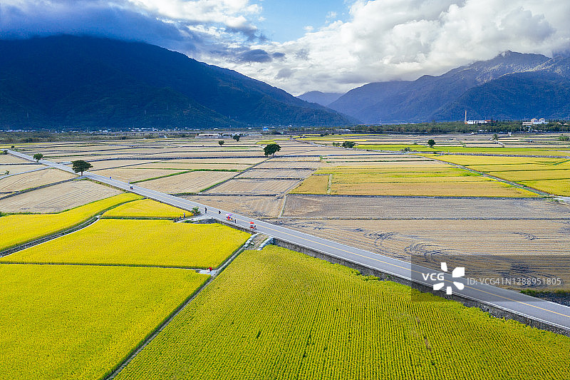 中国台湾台东美丽稻田航拍图片素材