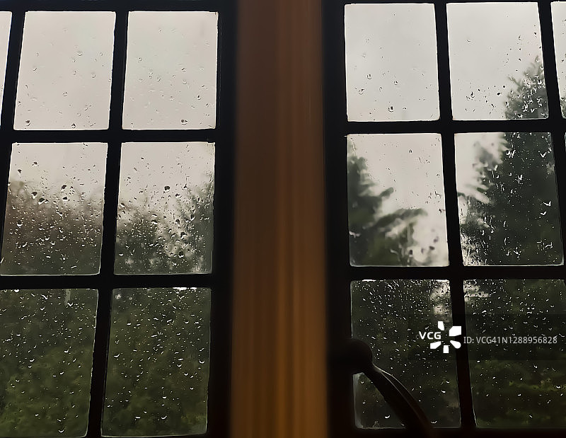 阴雨天里的一抹绿色图片素材