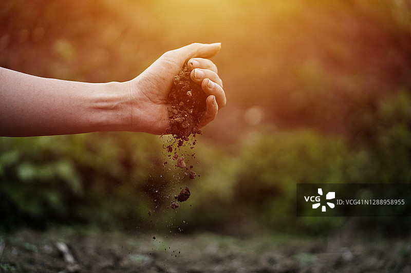 手持干燥土壤，背景为龟裂的土壤表面图片素材