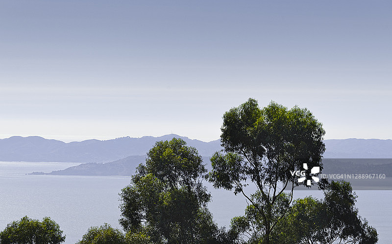 远眺马林山脉的树顶图片素材