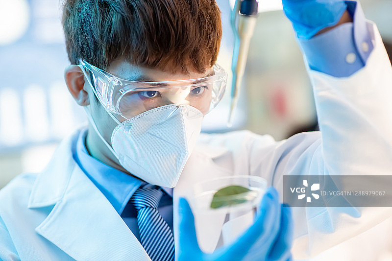 科学家拿着试管图片素材