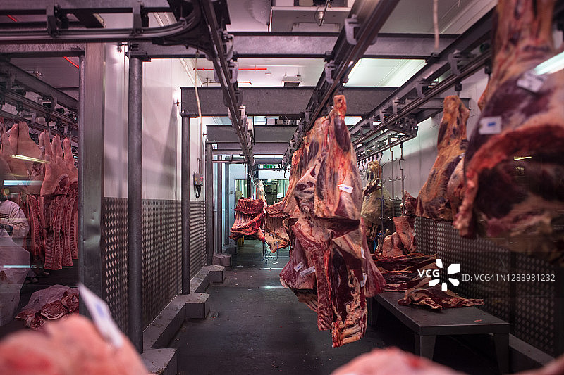肉类市场冷藏室内挂在铁轨上的肉图片素材