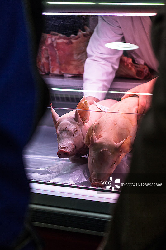 肉类市场冰箱柜中的小猪图片素材
