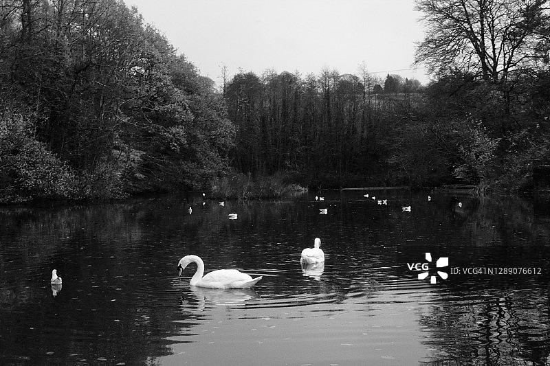 尼思格诺尔乡村公园湖泊图片素材