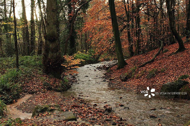 尼思格诺尔乡村公园的溪流图片素材