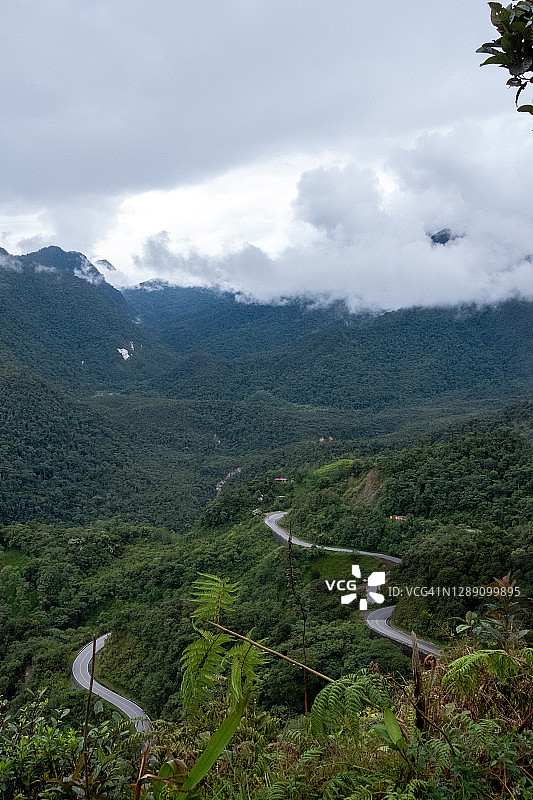 亚马孙雨林景观与农业图片素材