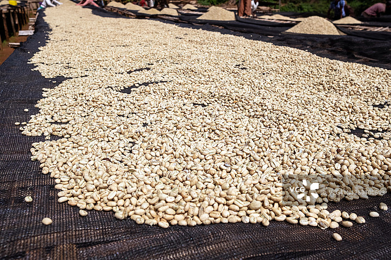 咖啡清洗站图片素材