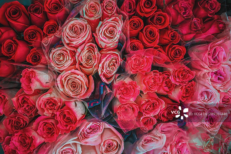 特写玫瑰花束图片素材