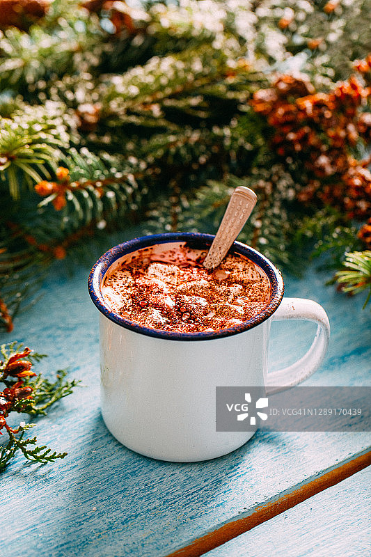 冬季背景下的自制热巧克力棉花糖图片素材