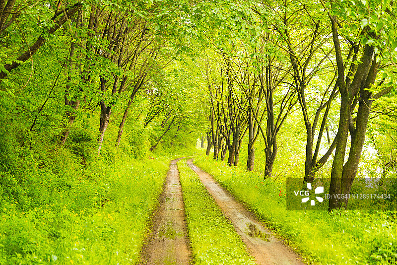 韩国舒川凤城池风光图片素材