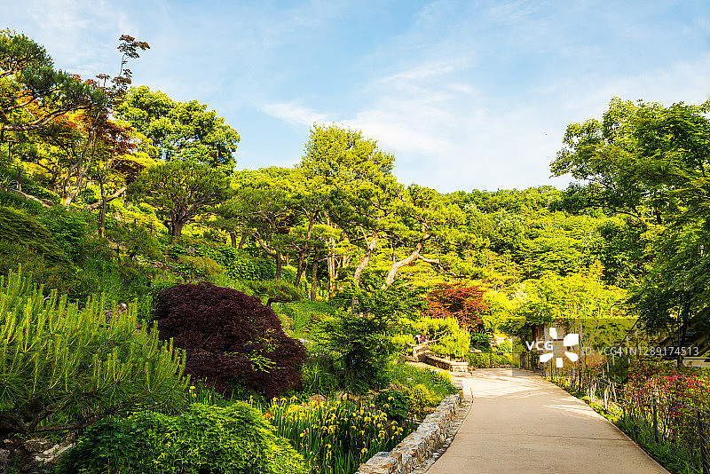韩国光州和谈林的春季景观图片素材