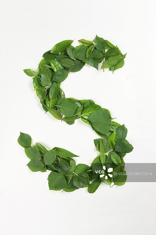 叶子、顶角、物体、字母S图片素材