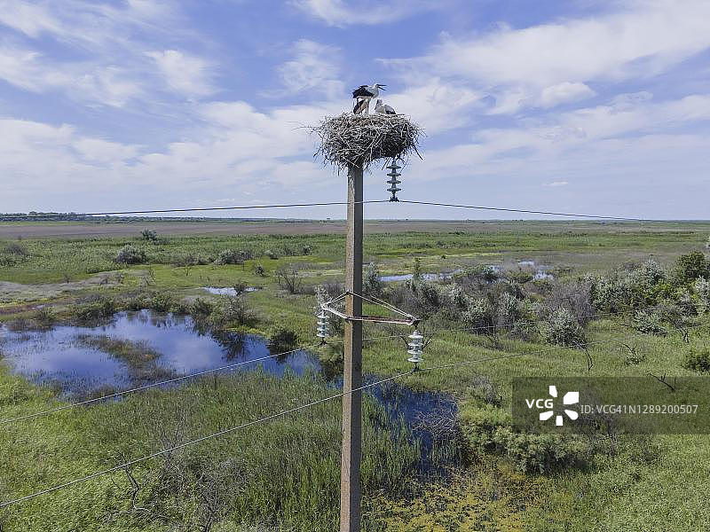 在柱子上鸟巢里的白鹳鸟瞰图片素材