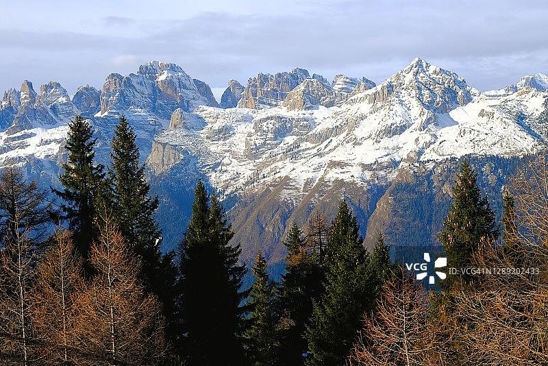 特伦蒂诺-上阿迪杰的山脉和冷杉树，布伦塔多洛米蒂山脉的雪峰图片素材