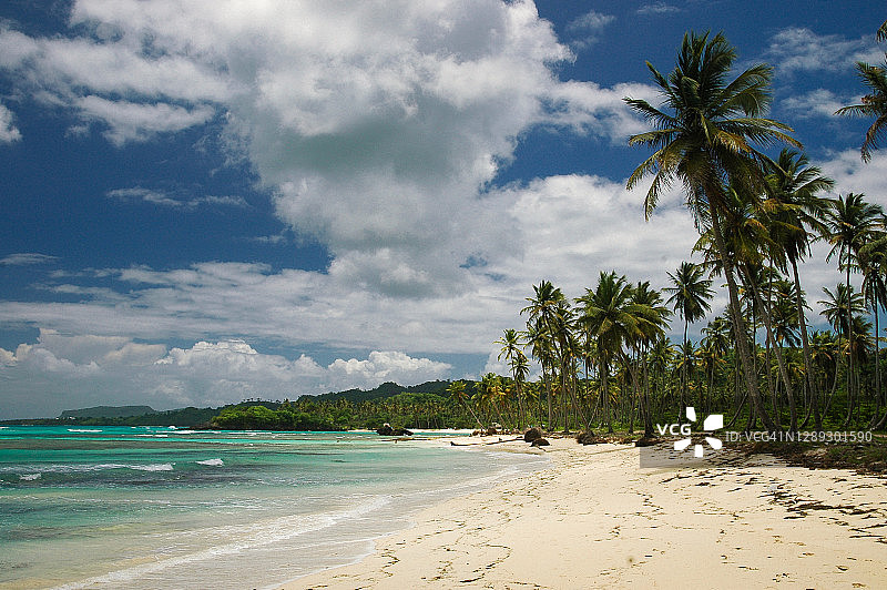 多米尼加共和国萨马纳林孔海滩的绿松石色加勒比海图片素材