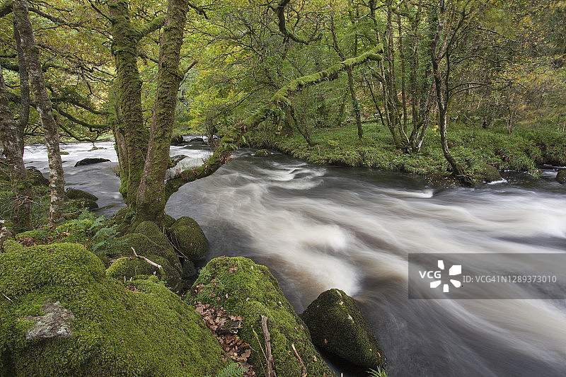 夏季英国达特穆尔国家公园达特河的洪水图片素材