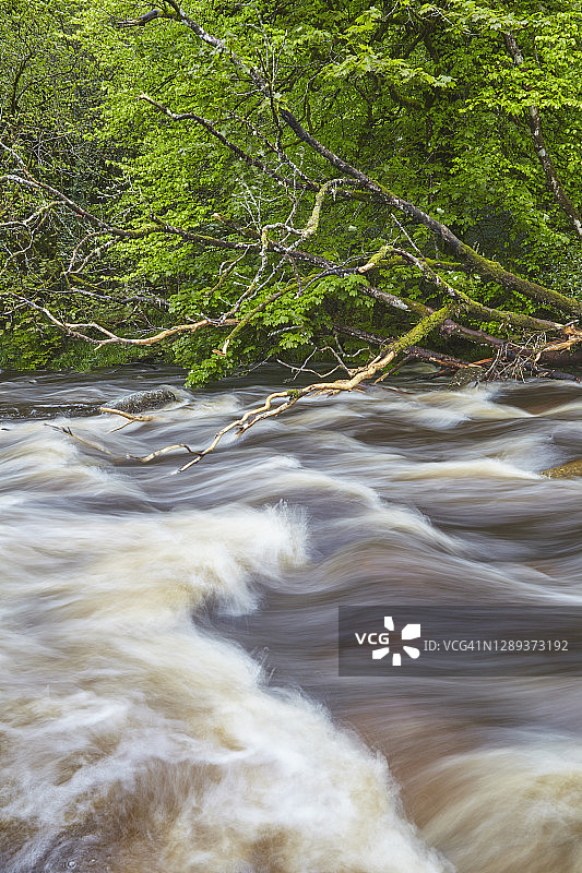 夏季英国达特穆尔国家公园达特河的洪水图片素材