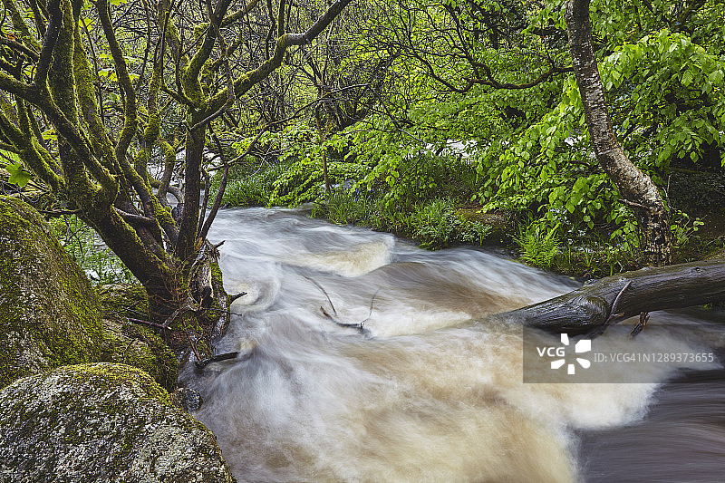 夏季英国达特穆尔国家公园达特河的洪水图片素材