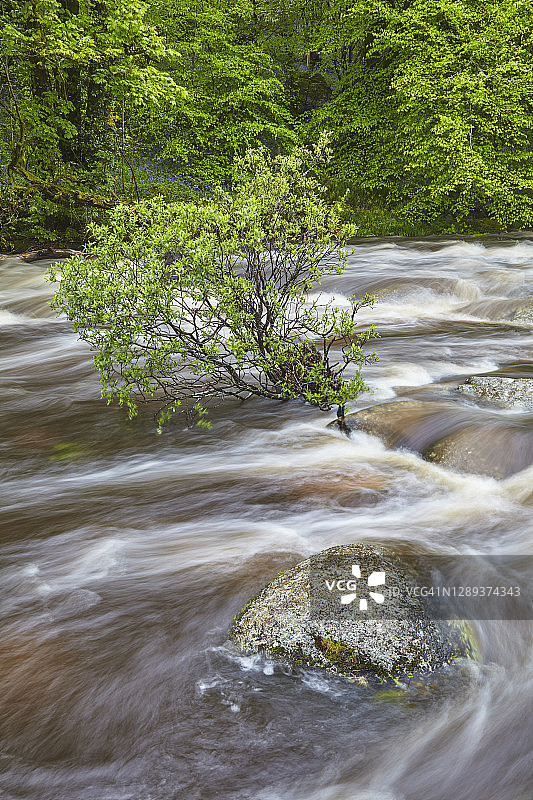 夏季英国达特穆尔国家公园达特河的洪水图片素材