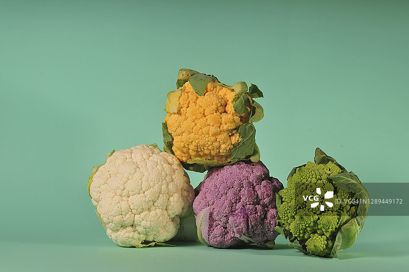 纯色背景上的彩色菜花图片素材