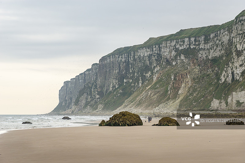 Filey海湾和Bempton悬崖，英格兰北约克郡图片素材