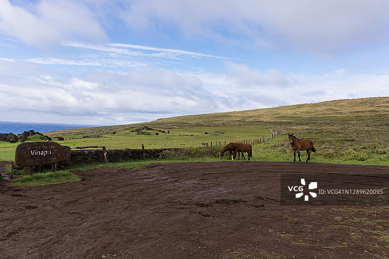 拉帕努伊岛阿胡维纳普入口处的双马图片素材