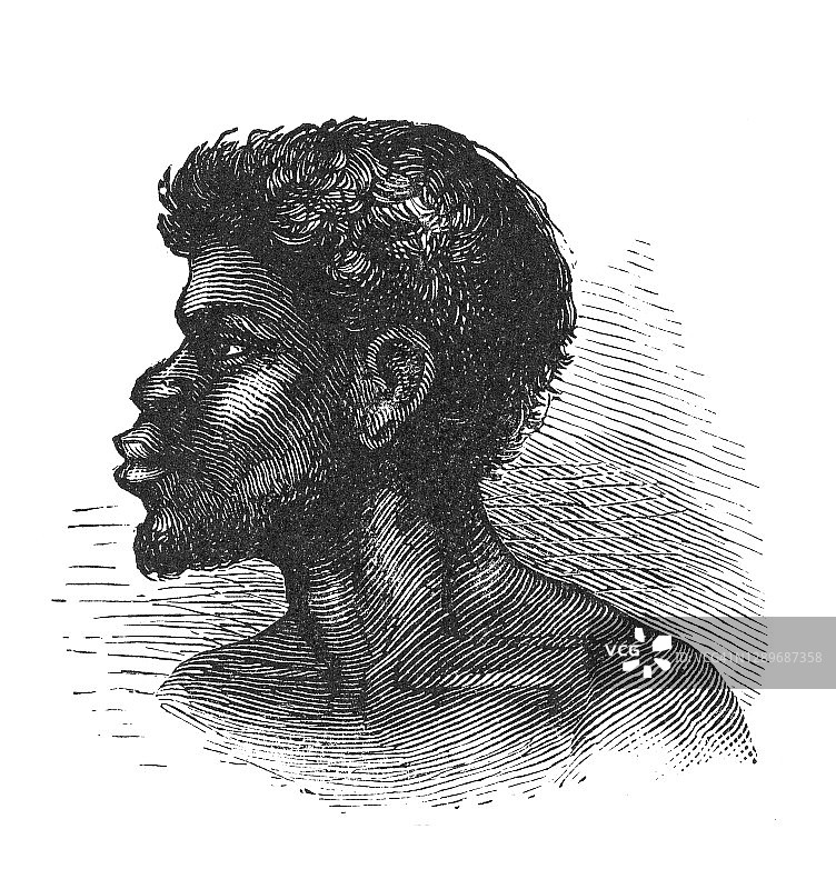 人种学：非洲人种古版画插图图片素材
