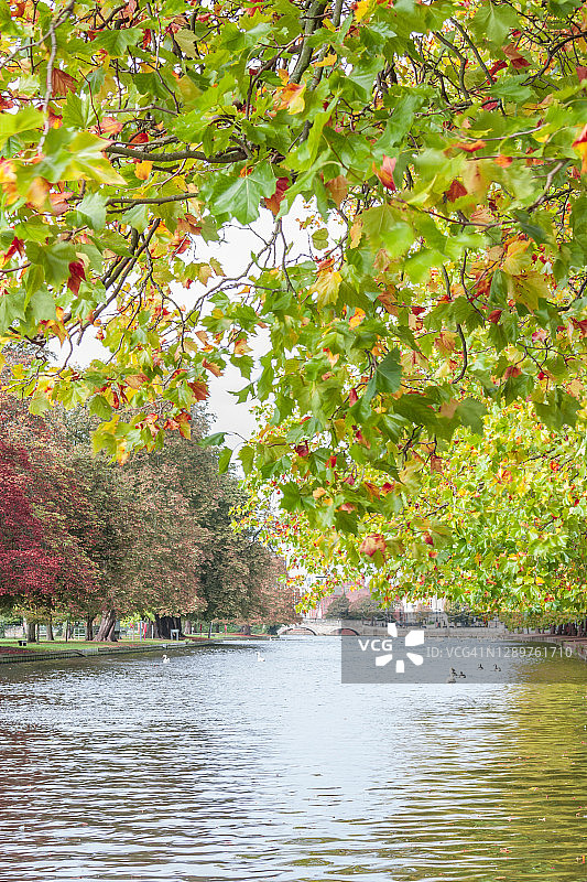 贝德福德堤岸图片素材