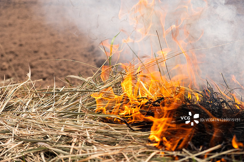 焚烧农田清除耕地后残留草的火焰特写图片素材