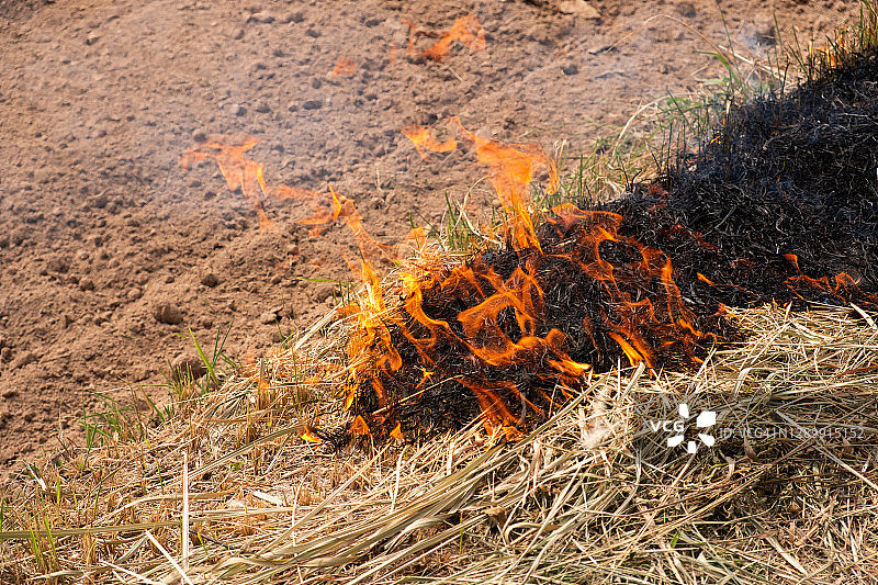焚烧农田清除耕地残余图片素材