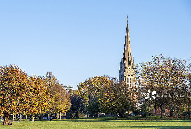 伦敦克利索尔德公园的秋季树木图片素材