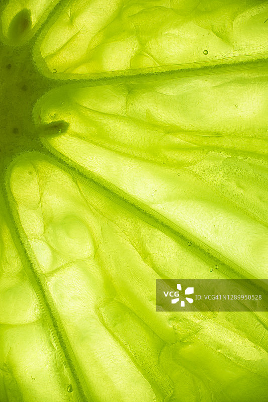 青柠切片特写图片素材