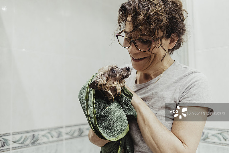 老年女人洗澡后用毛巾给小狗擦干图片素材