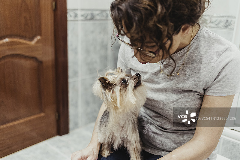年长的女人亲吻她膝盖上的小狗图片素材
