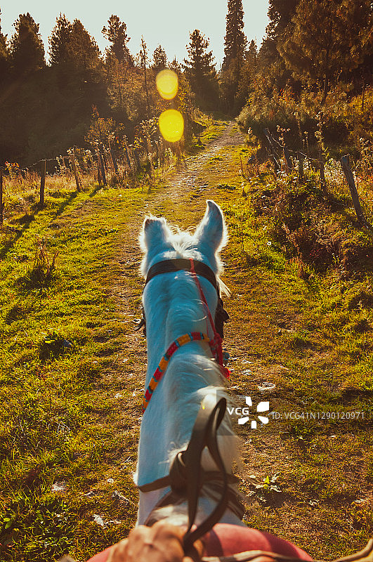 纳蒂亚加利拉拉扎地区的骑马活动图片素材